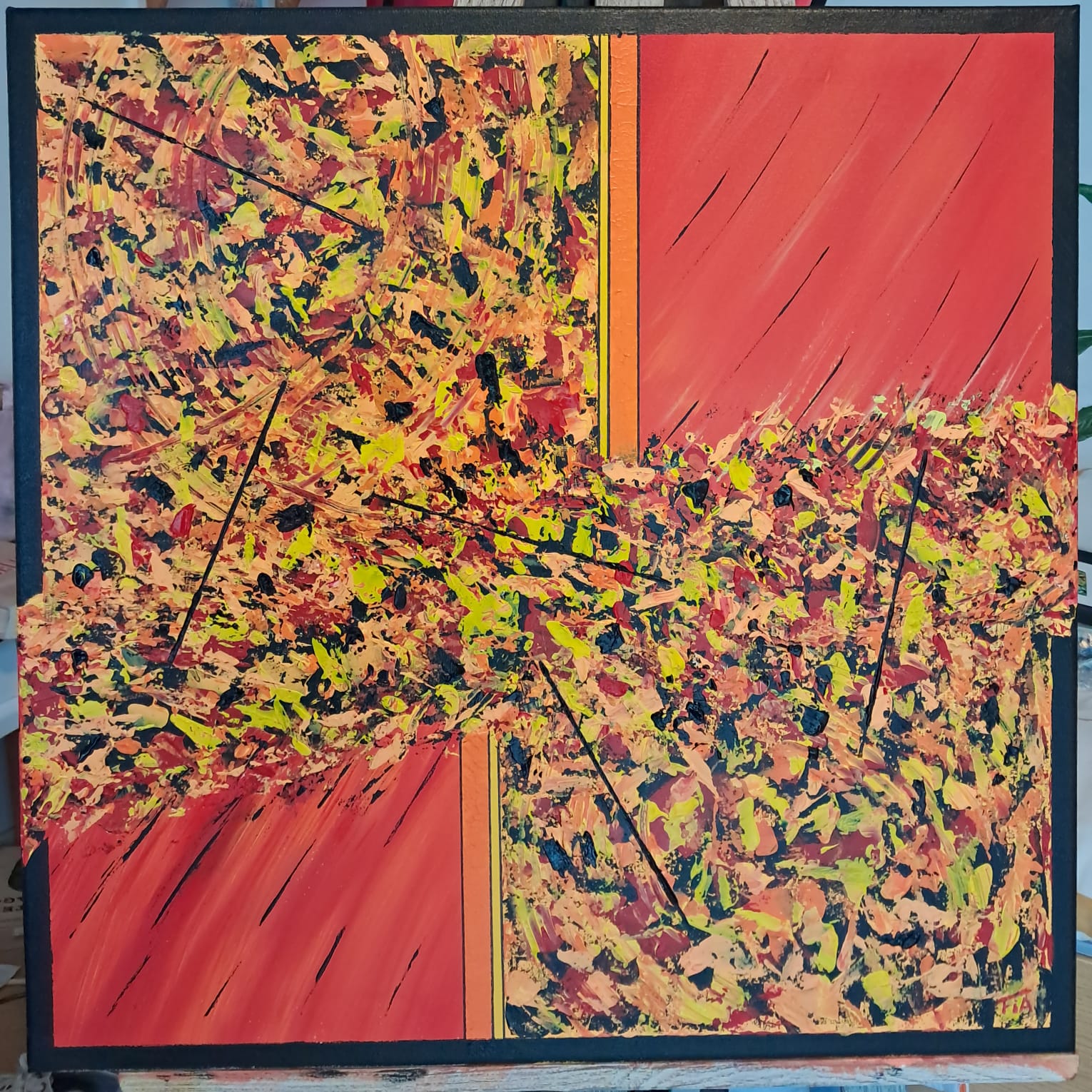 Afbeelding van WhatsApp op 2024-06-11 om 11.50.27_68f321f0